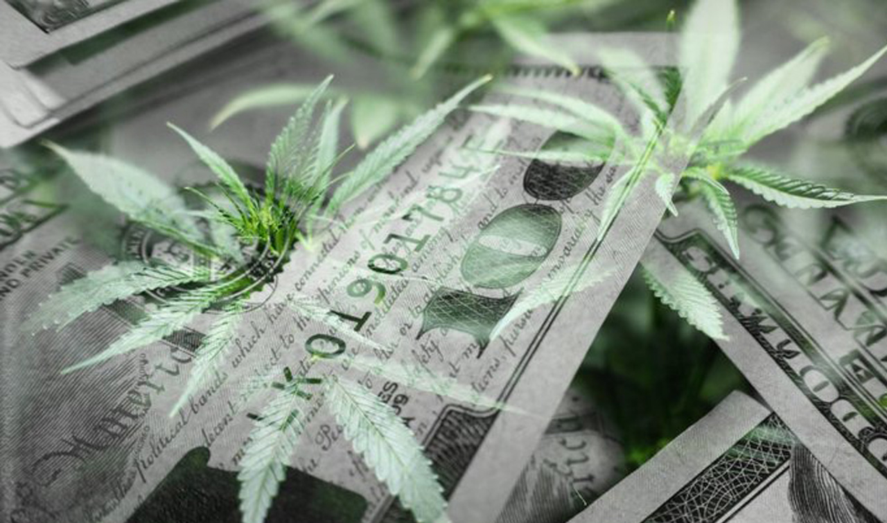 investment capital fundraising, Cannabis Consulting Services