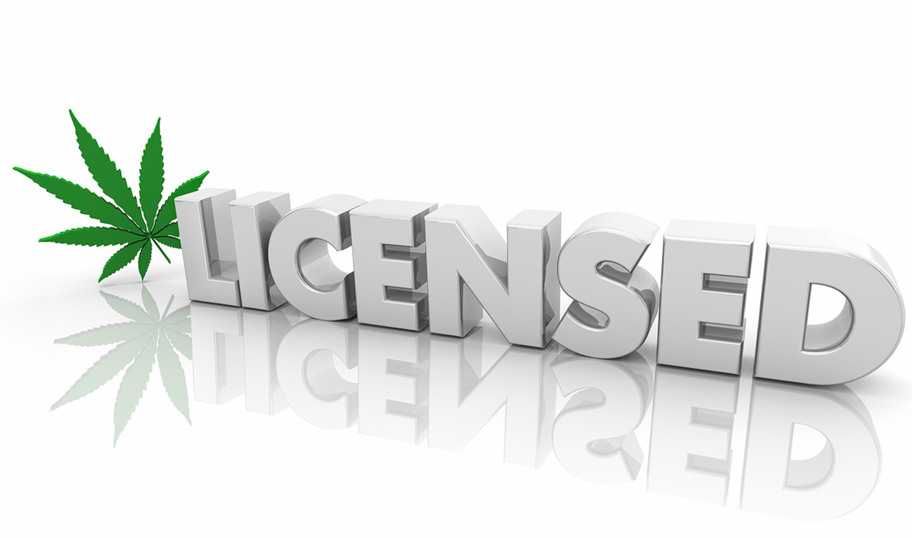 #1 Michigan Cannabis License Consulting | Cannabis Business Licensing Agency