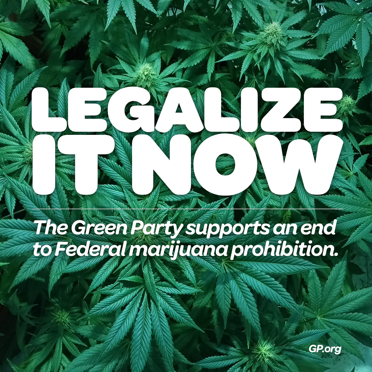 Arizona Cannabis License Consulting | Arizona Cannabis Business News