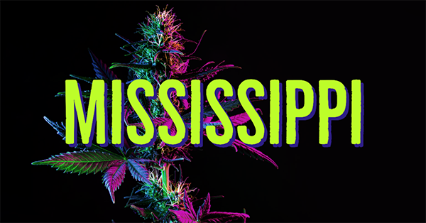 Mississippi Cannabis Consultant
