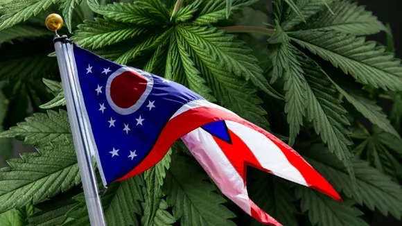 Ohio Cannabis Business License Consulting | Ohio Cannabis Business News